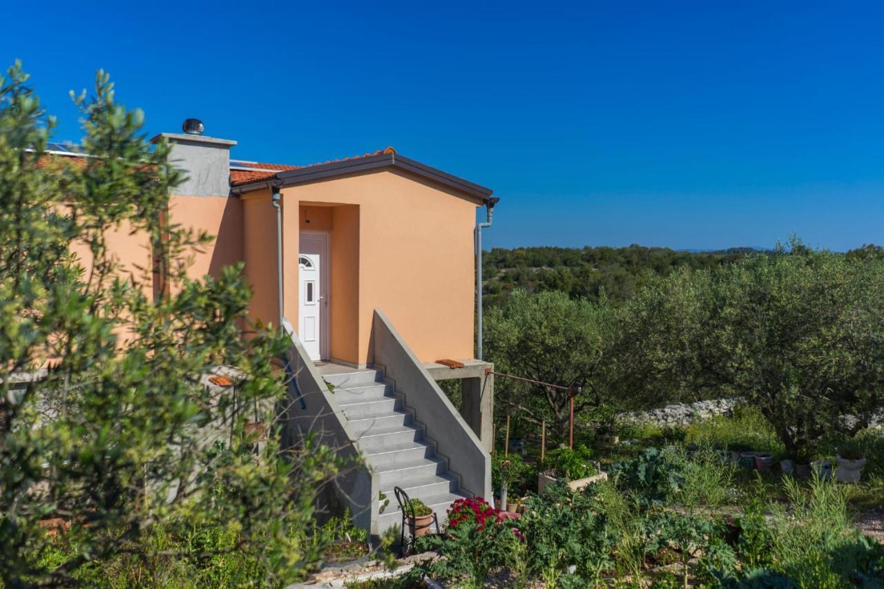 Svema Apartman Vela Luka Extérieur photo