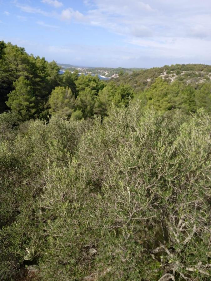 Svema Apartman Vela Luka Extérieur photo