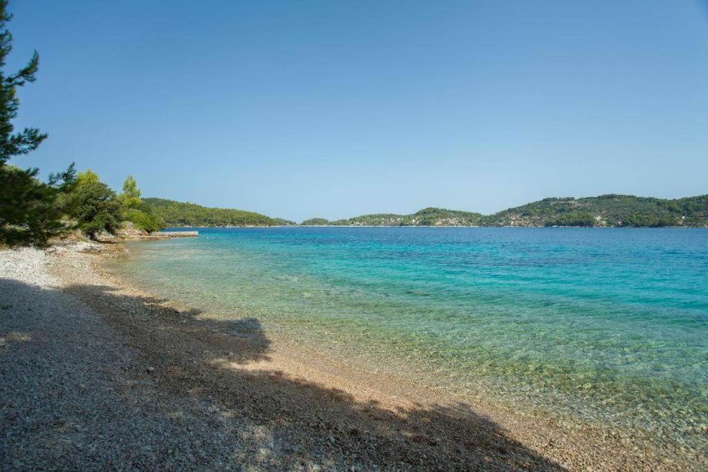 Svema Apartman Vela Luka Extérieur photo